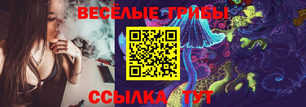 сколько стоит  Вход с VPN  Муром  Псилоцибиновые грибы Psilocybe  Псилоцибиновые грибы мицелий 